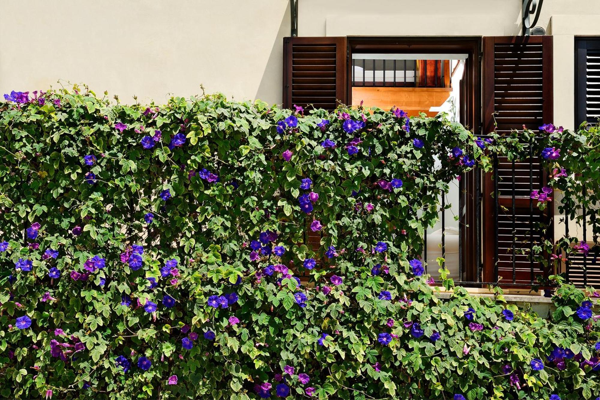 Hotel Kallikoros Country & Spa