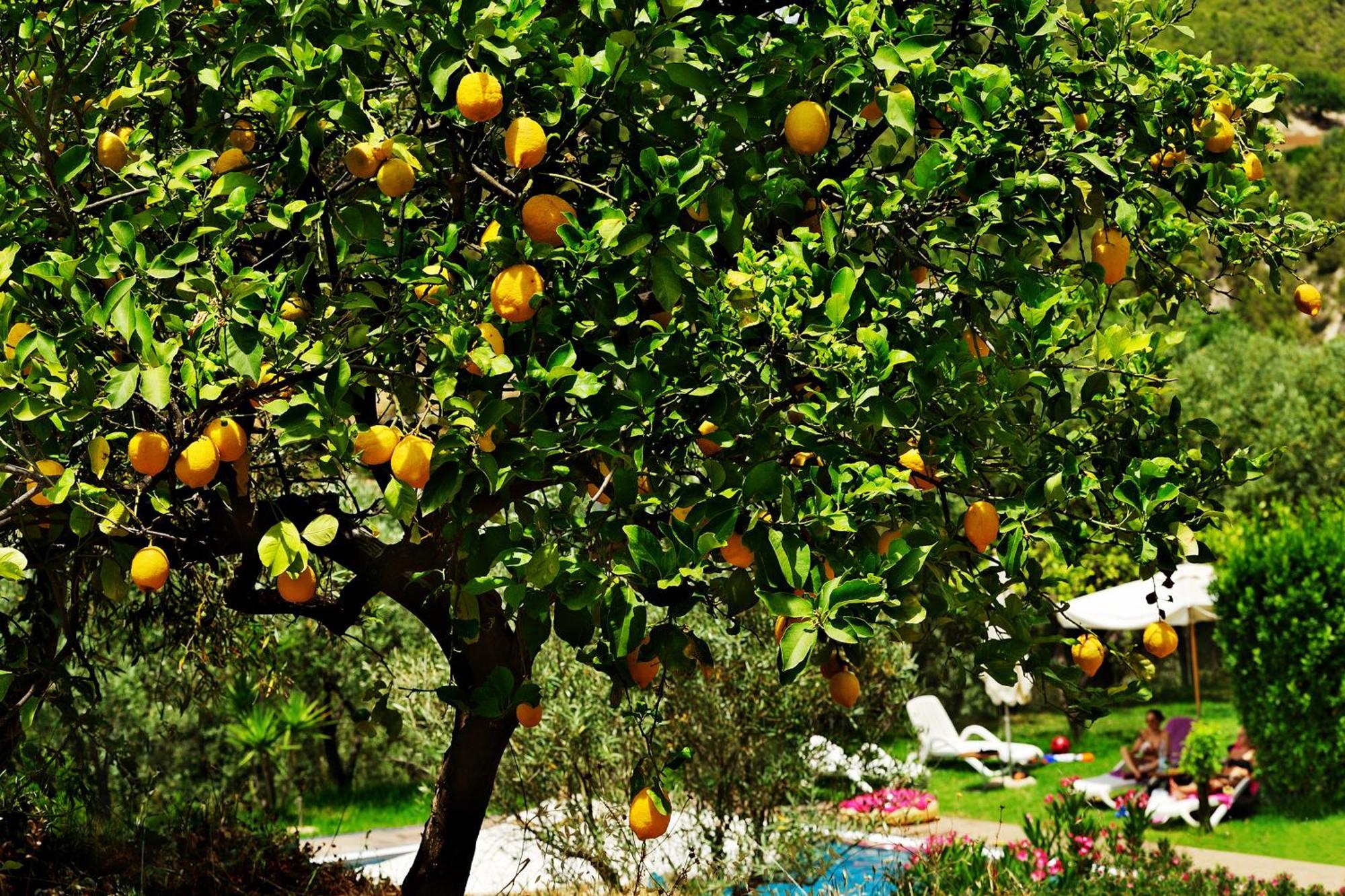 Kallikoros Country & Spa Hotel Noto