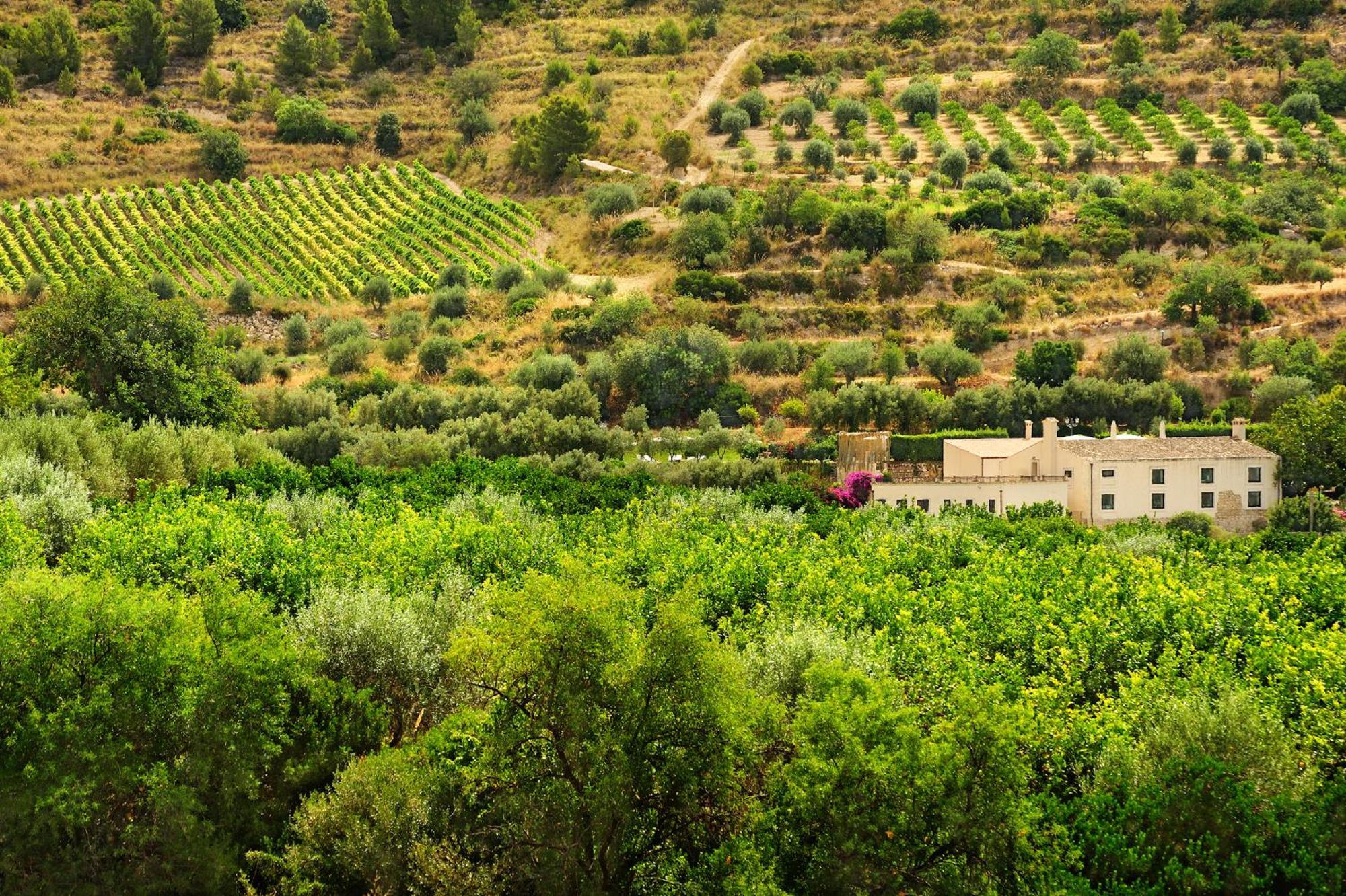 Kallikoros Country & Spa Hotel 4*