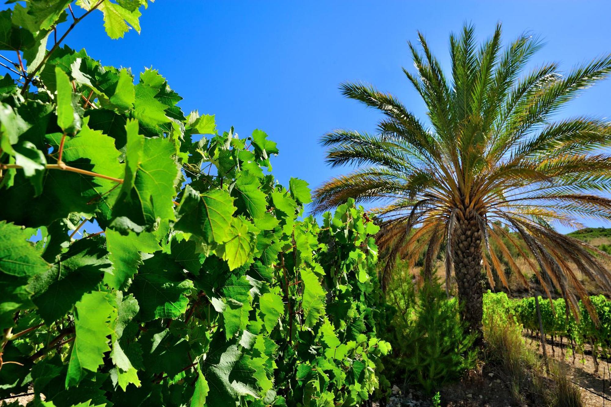 Hotel Kallikoros Country & Spa Noto