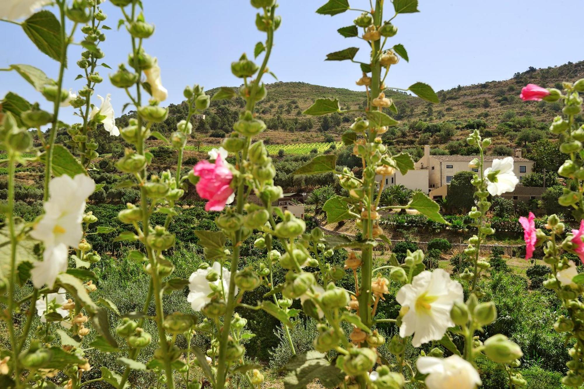 Kallikoros Country & Spa 4* Noto